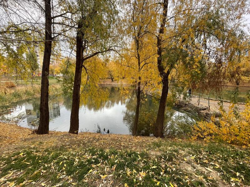 В Самарской области 27 октября воздух прогреется до +10 °C