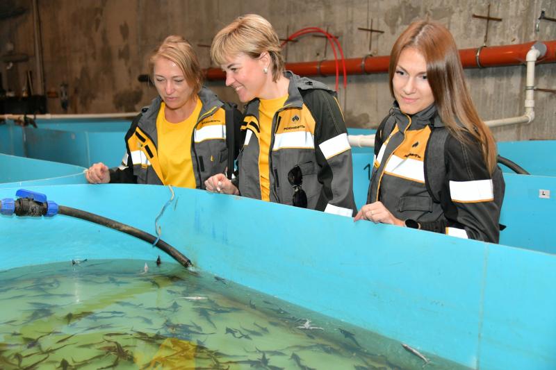 Больше 40 тысяч мальков стерляди выпустили в Саратовское водохранилище нефтяники сызранского предприятия