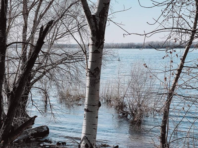 В Самарской области вскрытие рек ожидают с 5 по 20 апреля