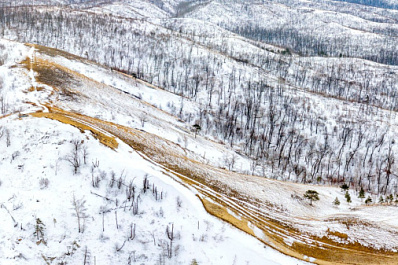 На территории "Самарской Луки" нашли канистры с опасным веществом