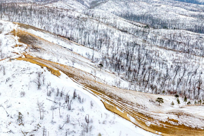Название статьи