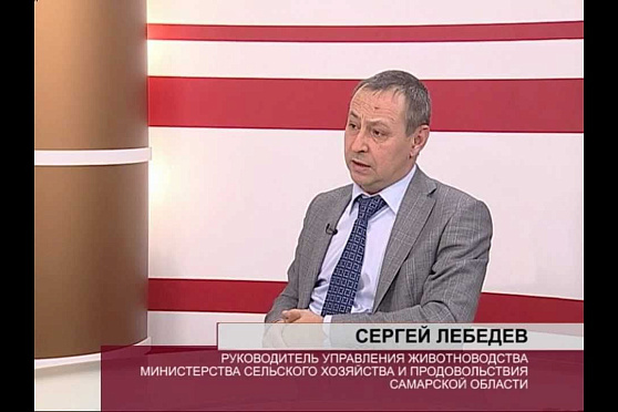 О чем говорят 29.01.2013