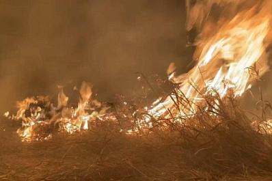 В Самарской области горело 200 "квадратов" сухой травы