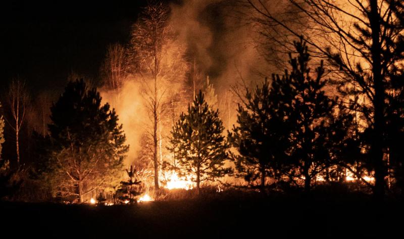 С заботой о природе: правда и мифы о лесных пожарах