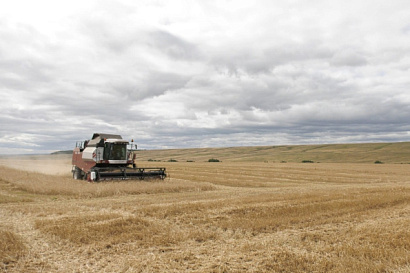Название статьи