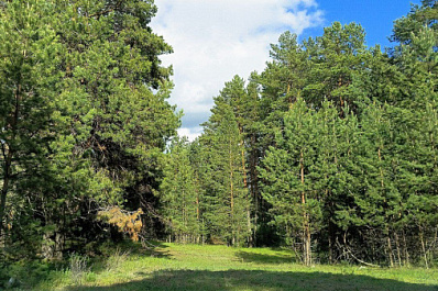 Долгожданное тепло вернулось в Самарскую область 5 мая