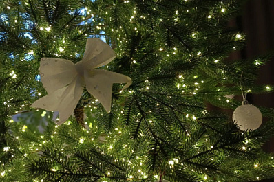 Самарцы смогут отправить новогодние елки на переработку в январе