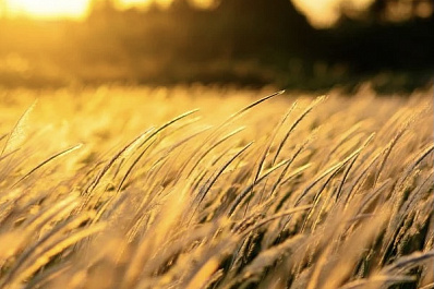 В Самарской области из-за сильного ветра объявили желтый уровень опасности 