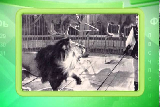 Календарь губернии 29.03.2013 