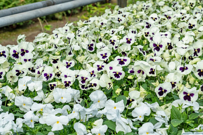 Название статьи