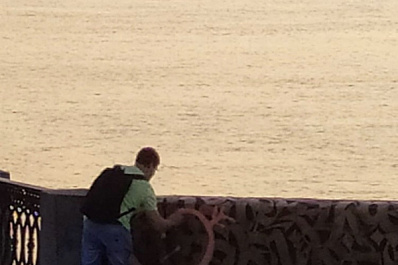 В Самаре изуродован новый мурал Покраса Лампаса