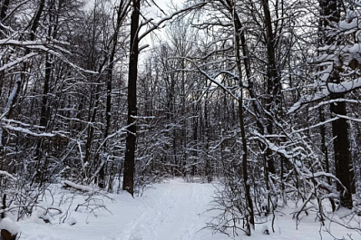 Народные приметы на 30 декабря 2024 года: что нельзя делать в этот день
