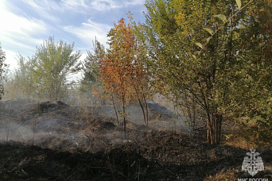 В Самарской области 25 сентября полыхающий мусор тушили 6 пожарных 