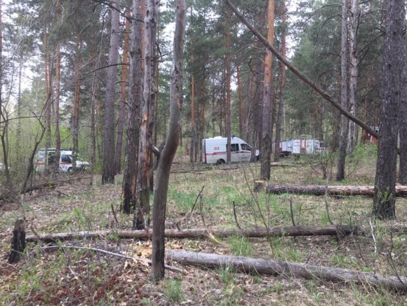 В Тольятти в городском лесничестве загорелся лес