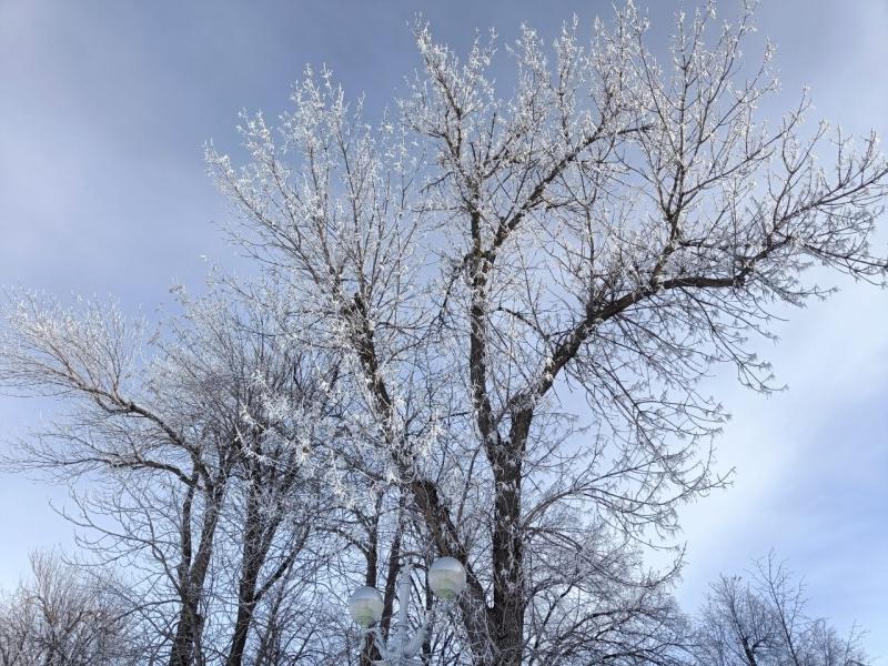 В Самарской области март будет теплее, чем обычно
