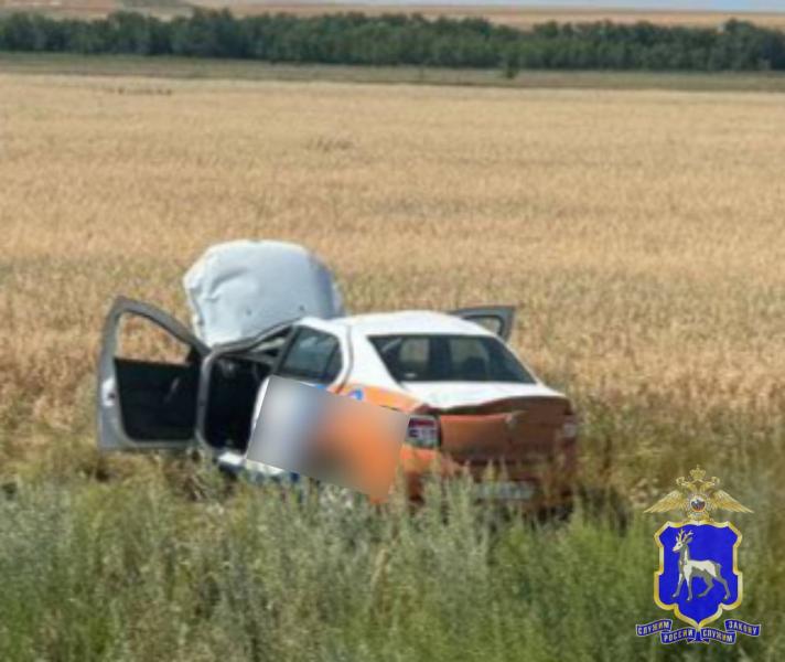 В Самарской области водитель на "Рено" улетел с дороги в поле