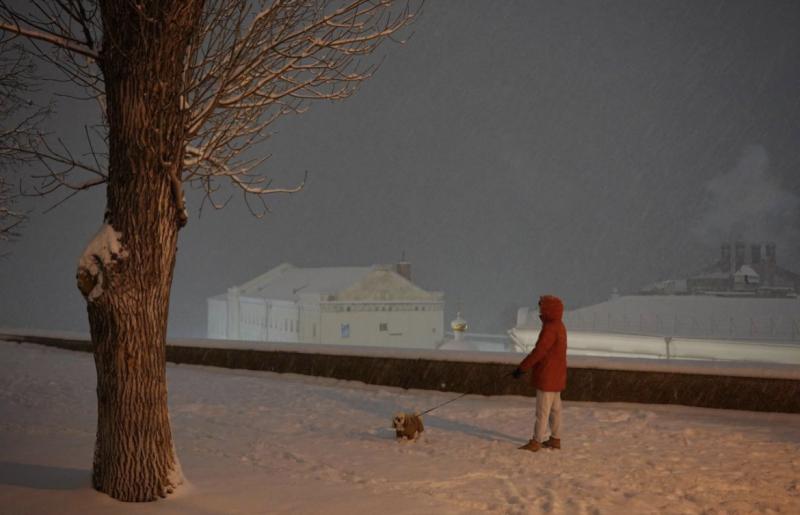 В России увеличилось количество гостиниц для туристов с животными