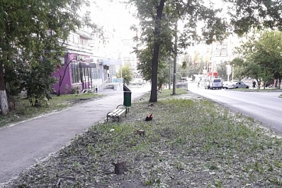Аллею деревьев вырубили в центре Самары
