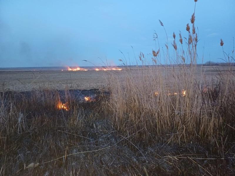 В Волжском районе горела сухая трава на 800 "квадратах"