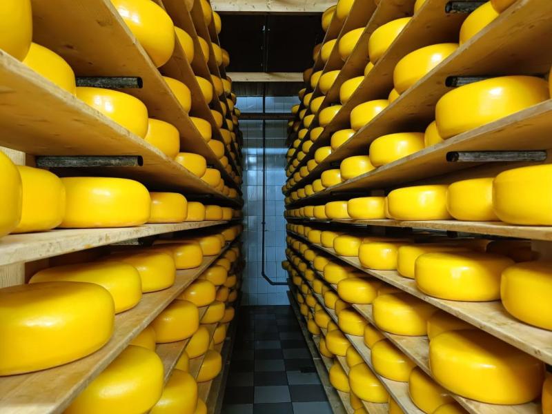 Самарские аграрные предприятия развивают экспорт при поддержке ФГБУ "Агроэкспорт"