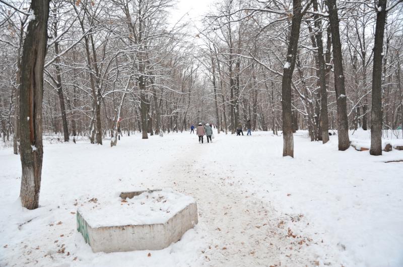 Самарский лесопарк 60-летия Советский власти в Кировском районе планируют реконструировать в 2023 году