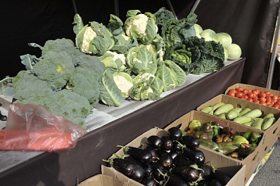 В Самаре с начала года снесли 55 незаконных торговых точек