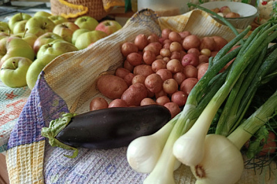 В Роспотребнадзоре рассказали, чем отличаются органические продукты от обычных