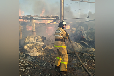 За девять месяцев подразделения противопожарной службы Самарской области спасли из огня 327 человек