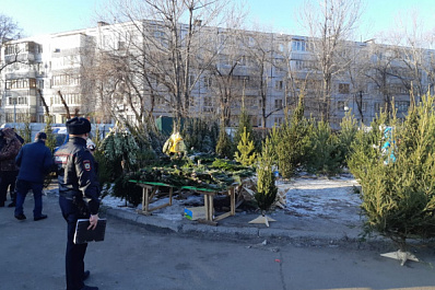 В Тольятти ликвидировали незаконные елочные базары