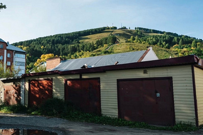 "Медный", но не всадник: росгвардейцы задержали подозреваемого в краже