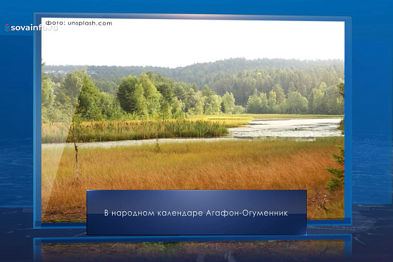 Агафон Огуменник. Календарь Губернии от 4 сентября