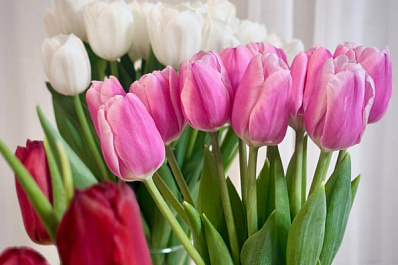 Упрекнул в несерьезности и начал обзывать: как работает мошенническая схема с доставкой цветов в Самаре