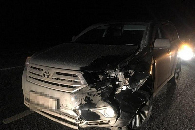 В Самарской области Тойота насмерть сбила 82-летнего пешехода