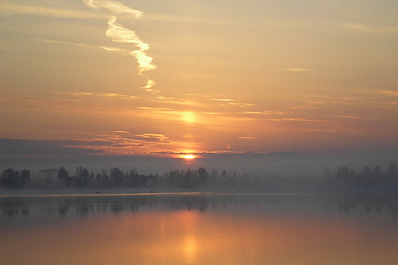 В России хотят организовать национальный проект по развитию Нечерноземья