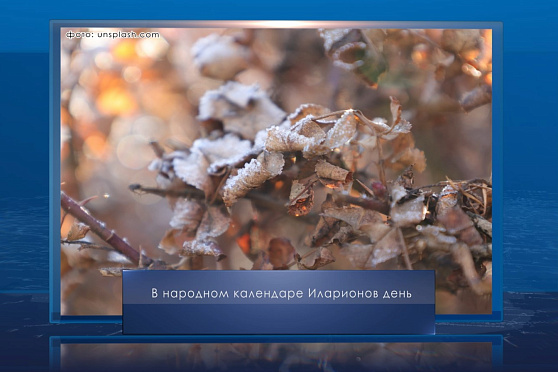 Иларионов день. Календарь Губернии от 3 ноября