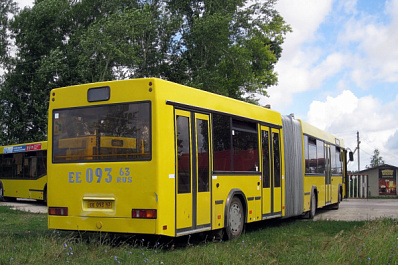 В Тольятти пустят новый короткий маршрут из "Нового города" через зеленую зону в Комсомольский район