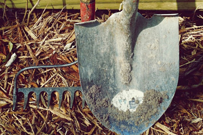 Название статьи