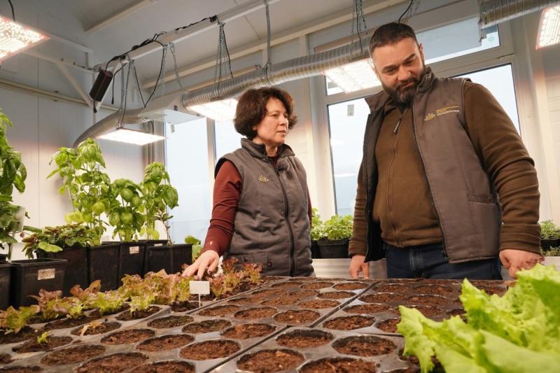 Стало известно, как в Самарской области фермеры создают экологичные продукты