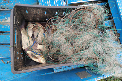 В Сызрани 85-летнего браконьера поймали с поличным