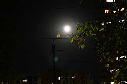 Название статьи