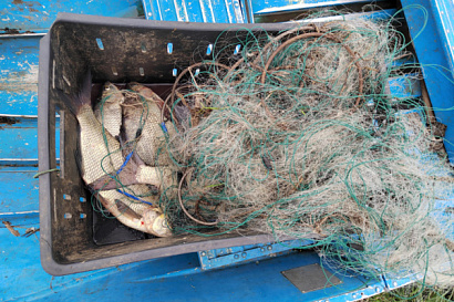 Название статьи