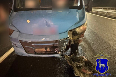 Автобус насмерть сбил лося на трассе "Обход Тольятти" 26 октября
