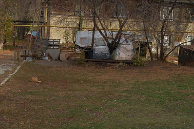 Жизнь в страхе: в Самаре бездомные собаки терроризируют жителей дома на ул. Гастелло, 14