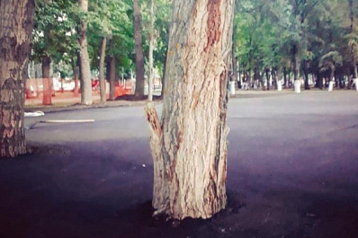 Строительство картинг-трассы в парке Гагарина продолжится