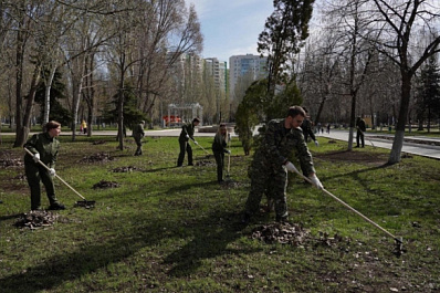 Города-побратимы Тольятти и Бобруйск объединились в экологической инициативе