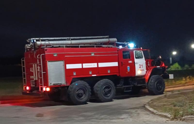 В Самарской области в пожаре погибли домашние животные