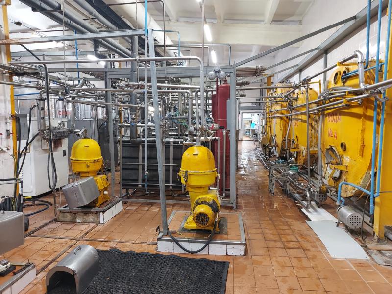 Как делают "молочку" в Красном Яре: репортаж с завода, который перерабатывает до 50 тонн сырья в сутки