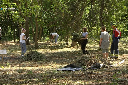 Название статьи