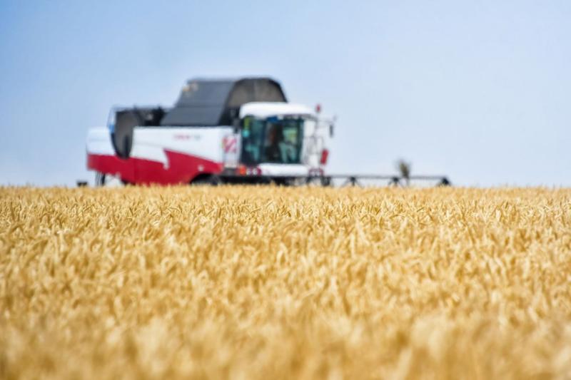 Первый миллион тонн зерна собрали самарские аграрии с начала уборочной кампании