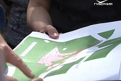 В Прибрежном почти 1000 дачников владеют участками на территории государственного лесного фонда